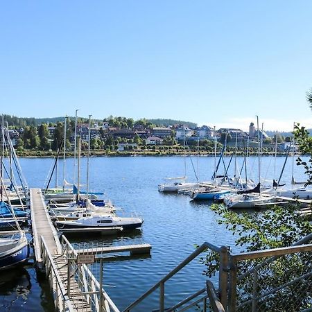 Fewo Sperlingskauz Mit Pool, Sauna & Hochschwarzwaldcard Schluchsee Εξωτερικό φωτογραφία