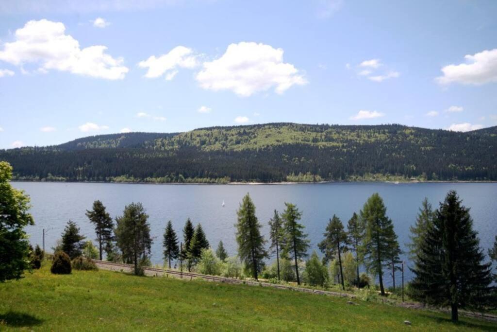 Fewo Sperlingskauz Mit Pool, Sauna & Hochschwarzwaldcard Schluchsee Εξωτερικό φωτογραφία