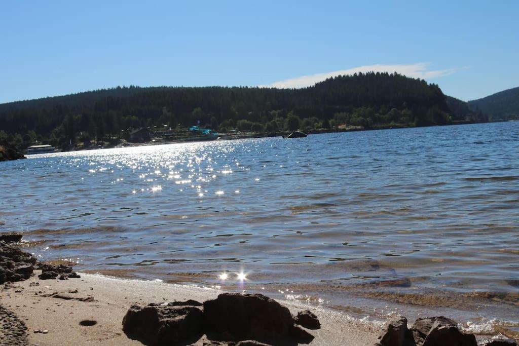 Fewo Sperlingskauz Mit Pool, Sauna & Hochschwarzwaldcard Schluchsee Εξωτερικό φωτογραφία