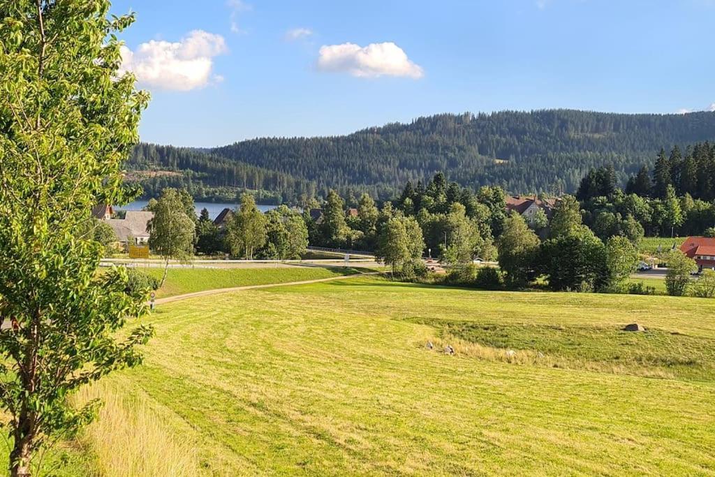 Fewo Sperlingskauz Mit Pool, Sauna & Hochschwarzwaldcard Schluchsee Εξωτερικό φωτογραφία