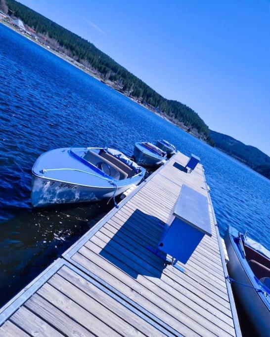 Fewo Sperlingskauz Mit Pool, Sauna & Hochschwarzwaldcard Schluchsee Εξωτερικό φωτογραφία