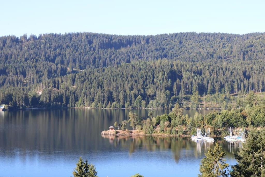 Fewo Sperlingskauz Mit Pool, Sauna & Hochschwarzwaldcard Schluchsee Εξωτερικό φωτογραφία