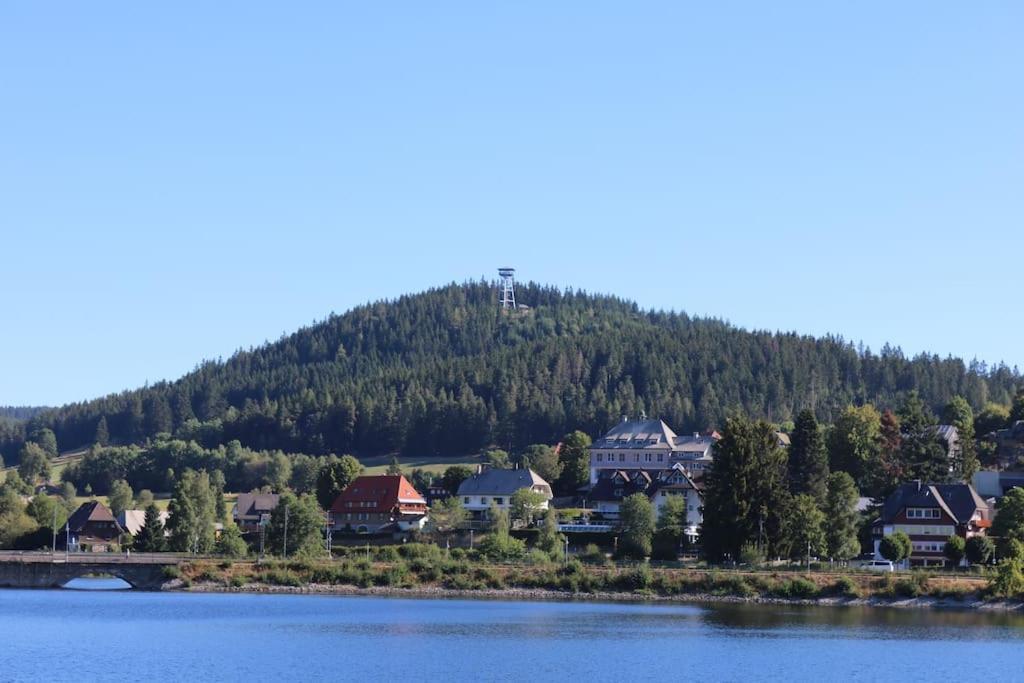 Fewo Sperlingskauz Mit Pool, Sauna & Hochschwarzwaldcard Schluchsee Εξωτερικό φωτογραφία