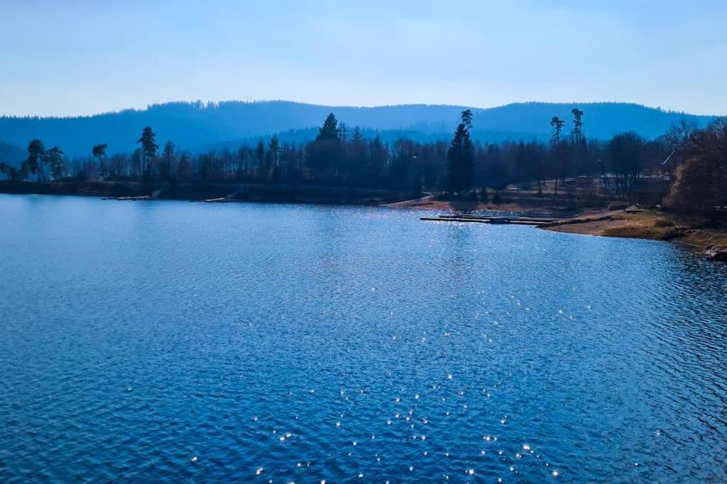 Fewo Sperlingskauz Mit Pool, Sauna & Hochschwarzwaldcard Schluchsee Εξωτερικό φωτογραφία